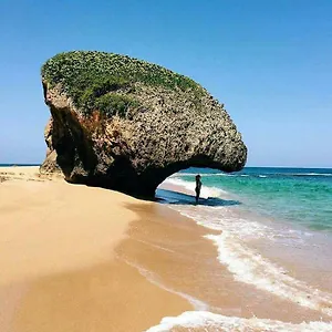 https://palmeras-del-mar.greaterantilleshotels.net